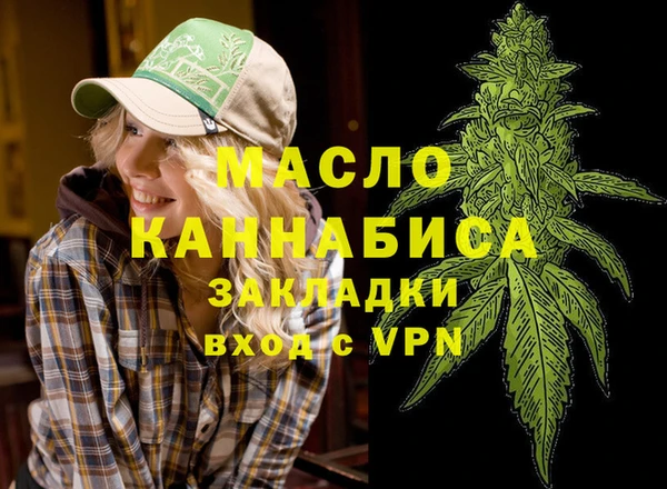 дмт Пересвет