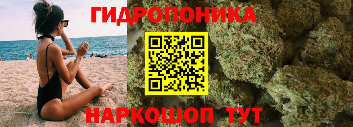 Альметьевск  Каннабис White Widow  Вход с VPN  Шишки марихуана семена  Каннабис ГИДРОПОН  МАРИХУАНА AK-47 
